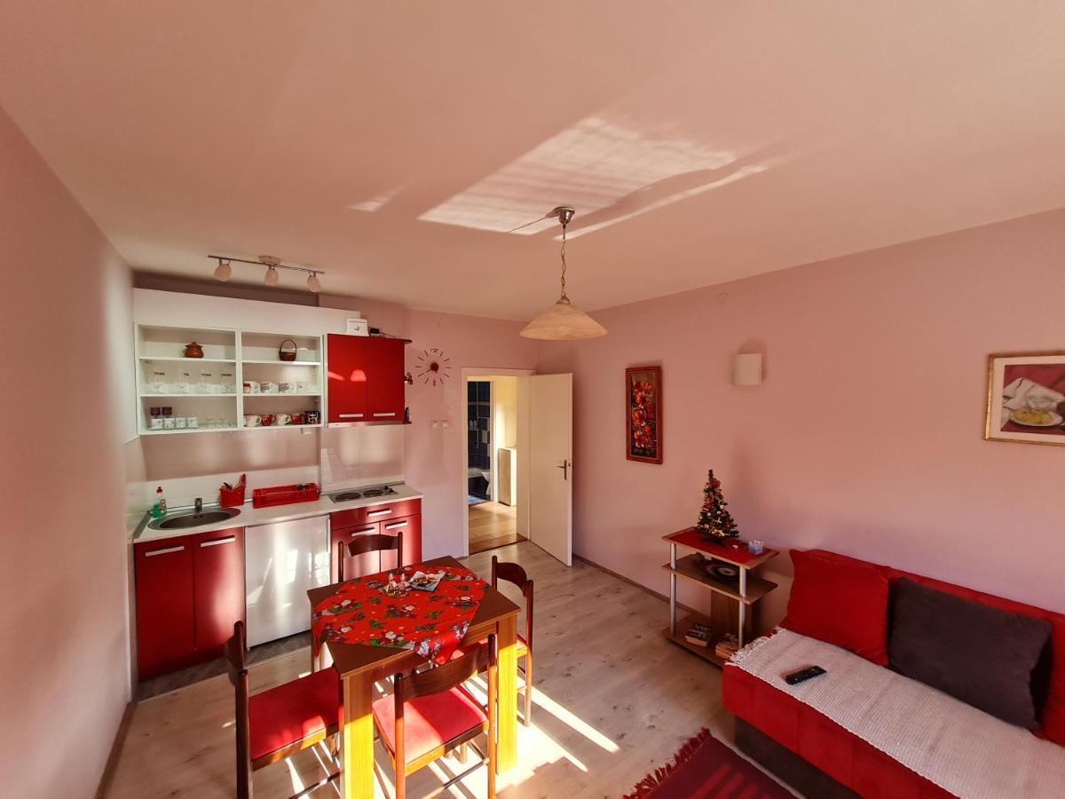 Apartman "Nina" Soko Banja Exteriér fotografie