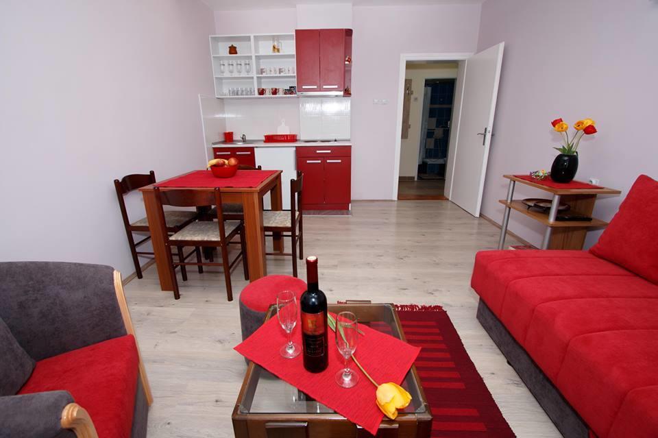 Apartman "Nina" Soko Banja Exteriér fotografie